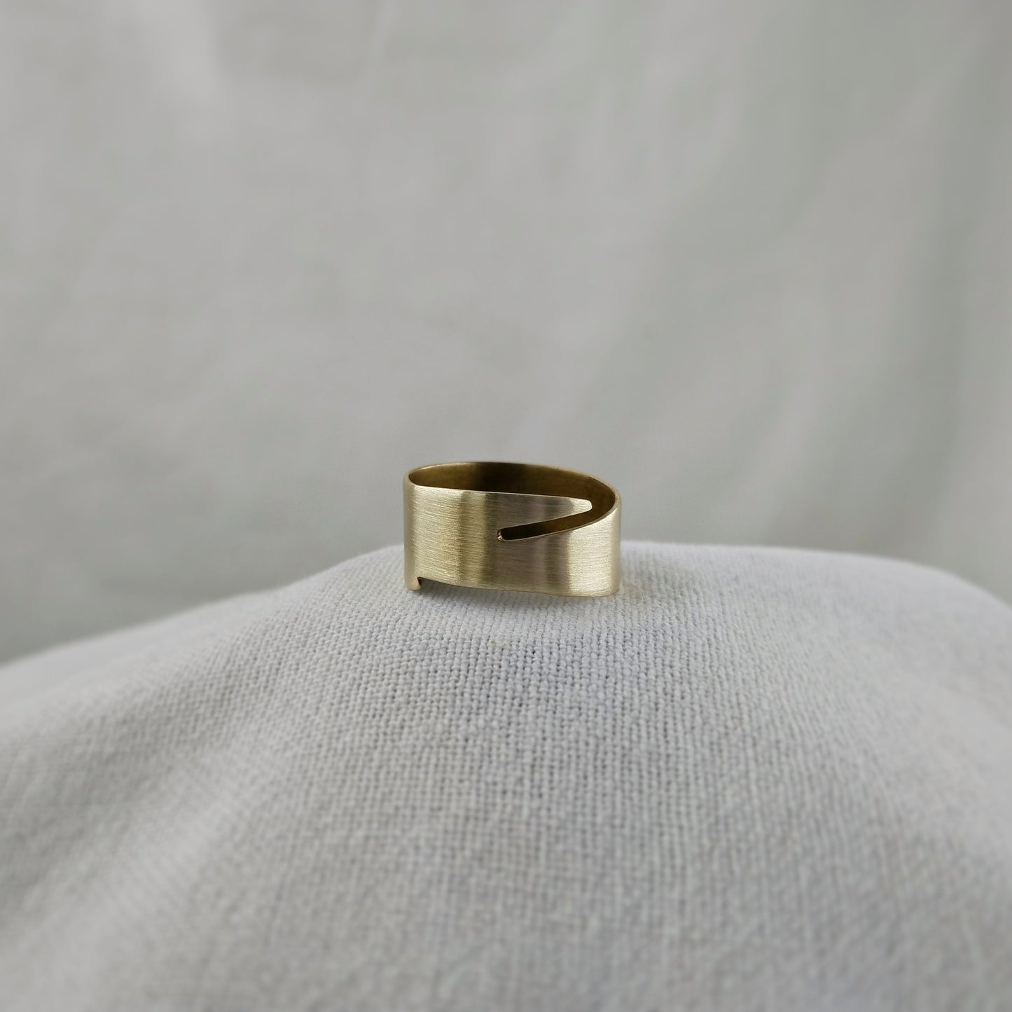 Fly Ring