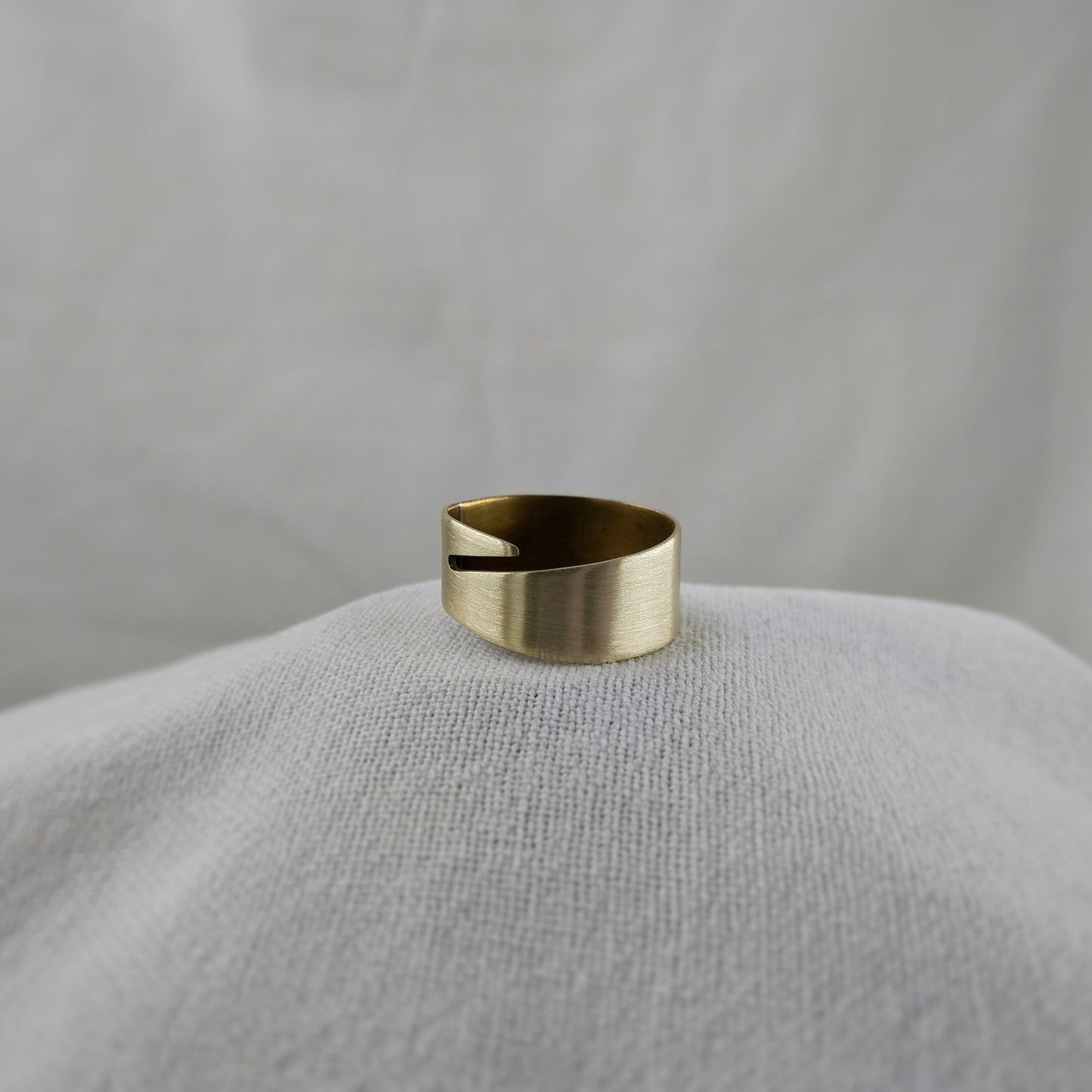 Fly Ring