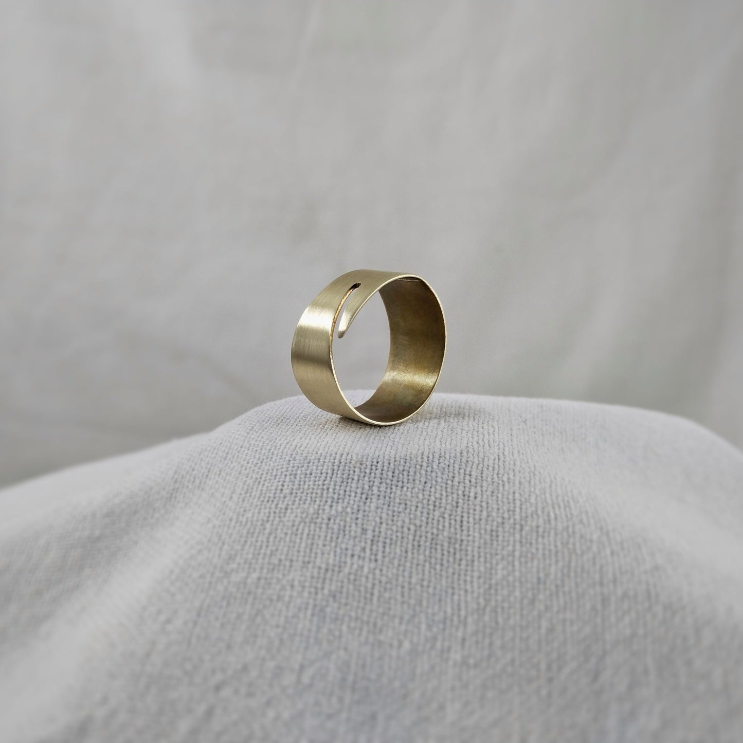 Fly Ring