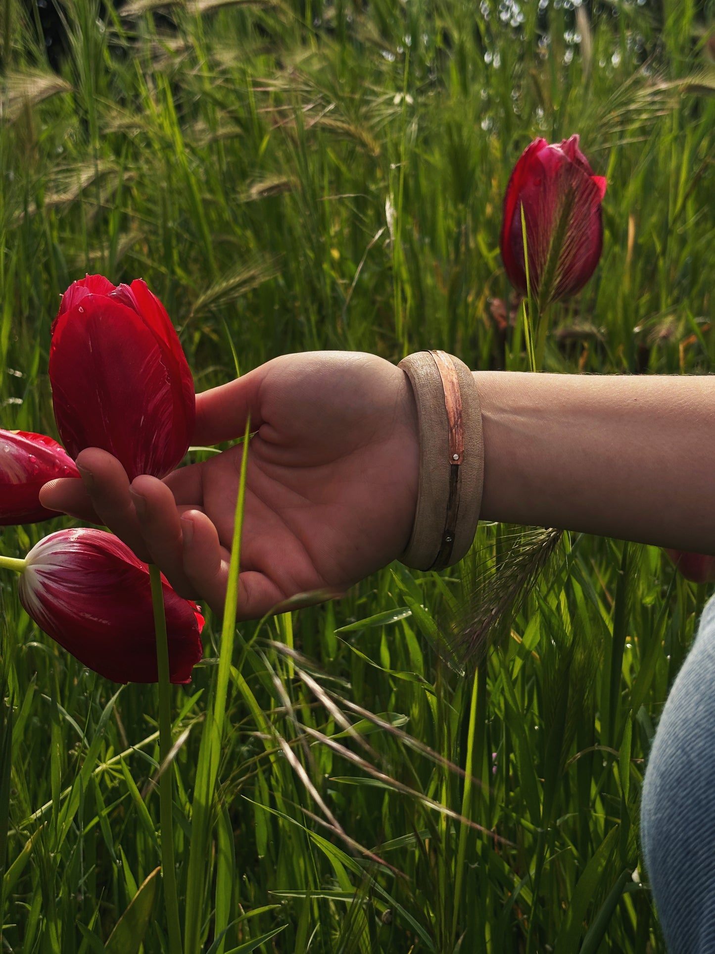 Anagennisi Bracelet